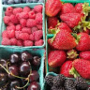 Meet your Posher, Rose